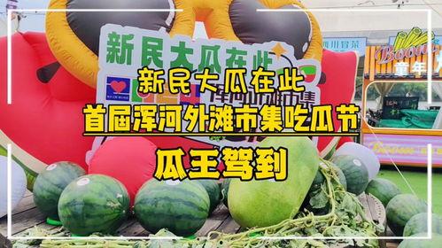 吃瓜大赛宣传语简短,吃瓜大赛，一触即发！